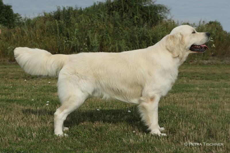 big_46830813_0_800-533