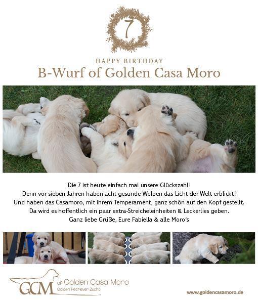 geburtstagsmail_B-Wurf 7
